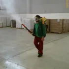 Immagine 3 azienda DISINFEST CONTROL Immobiliare e ristrutturazioni in Pescara