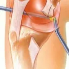 Immagine 3 azienda DOTT. ANTONIO RIGON Shopping e acquisti in Vicenza