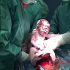 Immagine 2 azienda DOTT. MONACO VINCENZO Salute in Civitavecchia RM