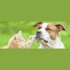 Immagine 1 azienda DOTT. UGO BRIGADOI Veterinario in Appiano Sulla Strada Del Vino BZ