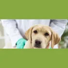 Immagine 3 azienda DOTT. UGO BRIGADOI Veterinario in Appiano Sulla Strada Del Vino BZ