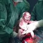 Immagine 3 azienda DOTT. VINCENZO MONACO - GINECOLOGO OSTETRICO Salute in Civitavecchia RM