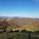 Immagine 1 azienda DOTTORE AGRONOMO VITTORIO MERLI Servizi agricoli in Ancona