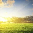 Immagine 1 azienda DR. BIANCAMARIA BERTULESSI PSICOLOGA-PSICOTERAPEUTA Salute in Curno BG