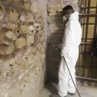 Immagine 1 azienda DRY WALL SYSTEM Vernici in Nettuno RM