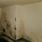 Immagine 5 azienda DRY WALL SYSTEM Vernici in Nettuno RM