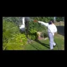 Immagine 1 azienda ECO FIORENZ Servizi professionali in Nettuno RM