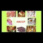 Immagine 4 azienda ECO FIORENZ Servizi professionali in Nettuno RM