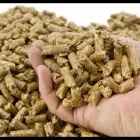 Immagine 3 azienda ECOERRE Shopping e acquisti in Calitri AV