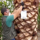 Immagine 2 azienda ECOIMEL SOC. COOP. Veicoli in Taranto