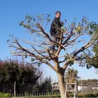 Immagine 3 azienda ECOIMEL SOC. COOP. Veicoli in Taranto