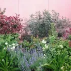 Immagine 4 azienda ECOIMEL SOC. COOP. Veicoli in Taranto