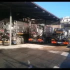 Immagine 4 azienda ECOLOGIA 3000 Servizi professionali in Fonte Nuova RM