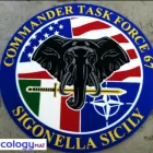 Immagine 5 azienda ECOLOGY MAT Tappeti in San Giovanni La Punta CT