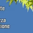 Immagine 1 azienda ECORICERCHE Servizi professionali in Sassuolo MO