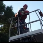 Immagine 1 azienda ECOSER GIARDINI & AMBIENTE Servizi professionali in Ancona