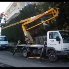 Immagine 2 azienda ECOSER GIARDINI & AMBIENTE Servizi professionali in Ancona