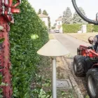 Immagine 3 azienda EDEN GARDEN Vivaio in Lonate Pozzolo VA