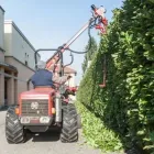 Immagine 4 azienda EDEN GARDEN Vivaio in Lonate Pozzolo VA