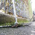 Immagine 8 azienda EDEN GARDEN Vivaio in Lonate Pozzolo VA