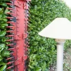 Immagine 11 azienda EDEN GARDEN Vivaio in Lonate Pozzolo VA