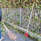 Immagine 13 azienda EDEN GARDEN Vivaio in Lonate Pozzolo VA
