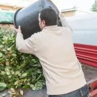 Immagine 14 azienda EDEN GARDEN Vivaio in Lonate Pozzolo VA
