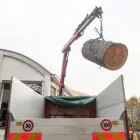 Immagine 16 azienda EDEN GARDEN Vivaio in Lonate Pozzolo VA