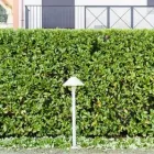 Immagine 17 azienda EDEN GARDEN Vivaio in Lonate Pozzolo VA