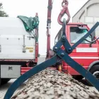 Immagine 19 azienda EDEN GARDEN Vivaio in Lonate Pozzolo VA