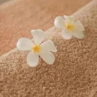 Immagine 4 azienda EDEN SUN Servizi di bellezza in Gallarate VA