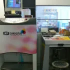 Immagine 7 azienda EDIL RESTAURO S.R.L. Vernici in Ravenna