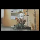 Immagine 1 azienda EDILDOMUS Shopping e acquisti in Alto Reno Terme Bo