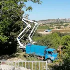 Immagine 4 azienda EDILIZIA FLORIDDIA Vivaio in Ispica