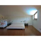 Immagine 8 azienda EDILMANIA RISTRUTTURAZIONI E MANUTENZIONI EDILIZIE Shopping e acquisti in Nettuno RM