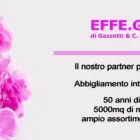 Immagine 4 azienda EFFE.GI.BI. SPA Shopping e acquisti in Argelato BO