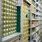 Immagine 2 azienda ELA SISTEMI SRL Shopping e acquisti in Altedo BO