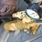 Immagine 3 azienda ELETTROMECCANICA ALTO ADIGE Shopping e acquisti in Bolzano