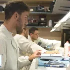 Immagine 8 azienda ELETTRONICA CICALA Shopping e acquisti in Catania