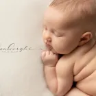 Immagine 2 azienda ELISA BORGHI PHOTOGRAPHY Studio fotografico in Sassuolo MO