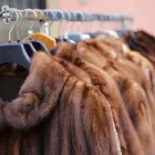 Immagine 2 azienda ELISABETTA BONZANI Pellicceria in Seriate BG