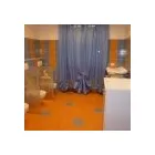 Immagine 4 azienda EMANUEL DI GINA LANCELLOTTI Vivaio in Verona