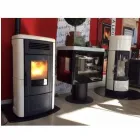 Immagine 5 azienda ENEA CORBETTA Vivaio in Cantù