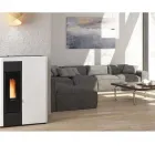 Immagine 8 azienda ENEA CORBETTA Vivaio in Cantù