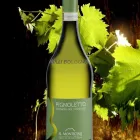 Immagine 5 azienda ENOTECA DIONISO Negozio di vini in Bologna