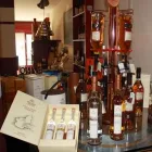 Immagine 1 azienda ENOTECA DIVINO INVINO Negozio di vini in Gallarate VA