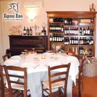 Immagine 1 azienda EQUUS ENO Sport e tempo libero in Latina