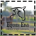 Immagine 5 azienda EQUUS ENO Sport e tempo libero in Latina