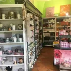 Immagine 2 azienda ERBORISTERIA STEFY Shopping e acquisti in Filottrano AN