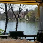 Immagine 5 azienda ERIDANO 88 Ristorante in Torino